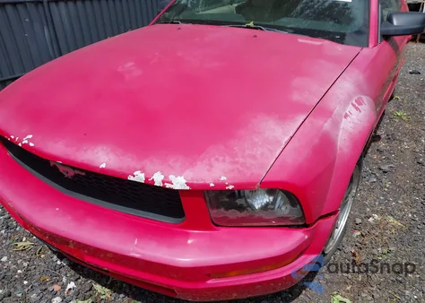 2005 Ford Mustang from USA, damaged, VIN 1ZVFT84N455215653